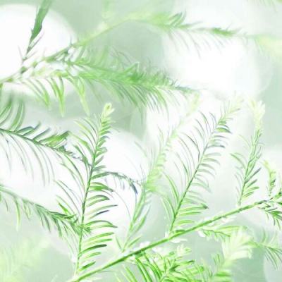 蜀山妖神传手游红包版下载